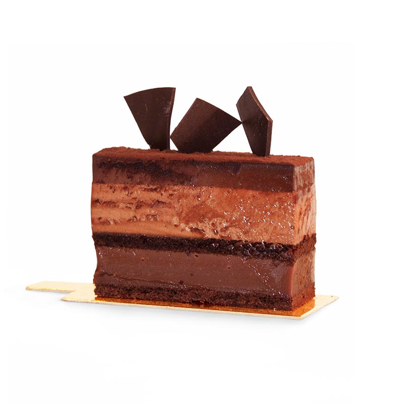 Slice of layered chocolate, caramel, chocolate mousse and dark chocolate ganache cake