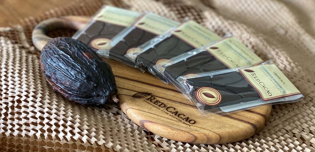 A selection of single original chocolate blocks neatly layed out next to a cacao pod